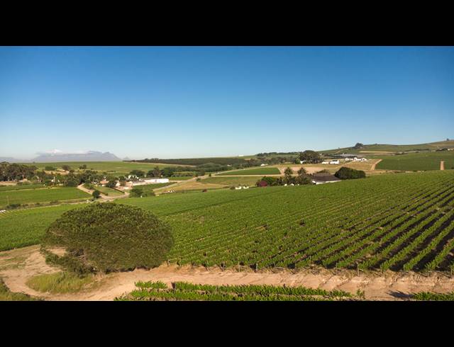 94HA FARM FOR SALE IN STELLENBOSCH FARMS